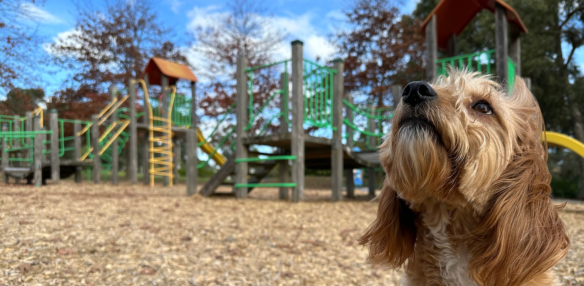 New dog park and playground: FULLY FUNDED Main Image